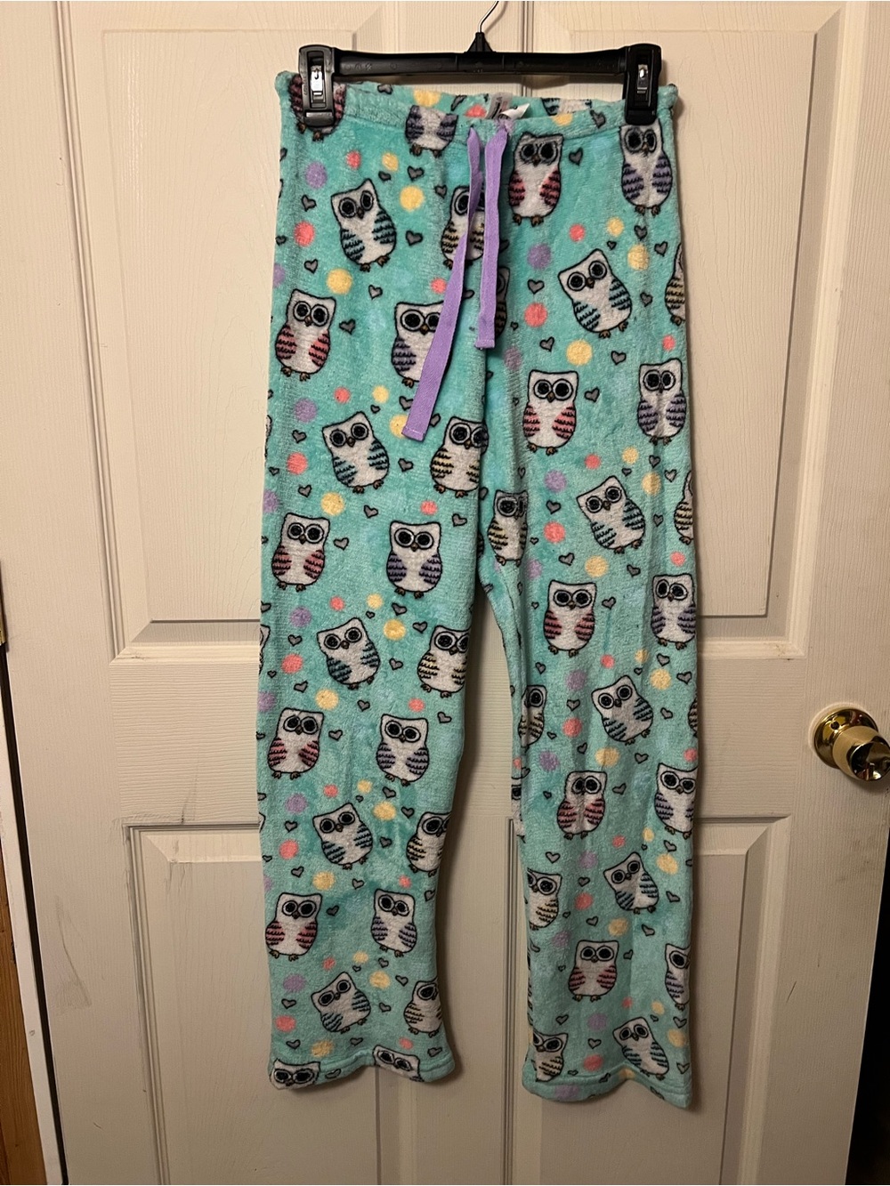 Plush Owl Print Pajama Pants - Mint